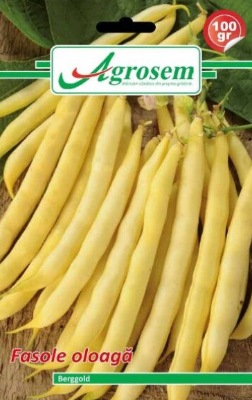 Seminte fasole oloaga BERGGOLD, Agrosem 100g