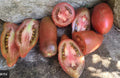 SEMINTE TOMATE SHOKOLADOVA CHUSHKA 30SEM