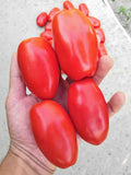 Seminte tomate SUPERMARZANO VFFN F1