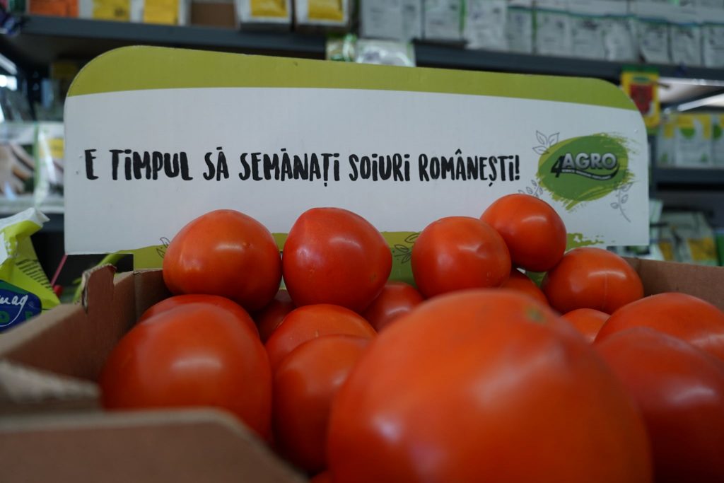 TOMATE ZARAZA 100SEM