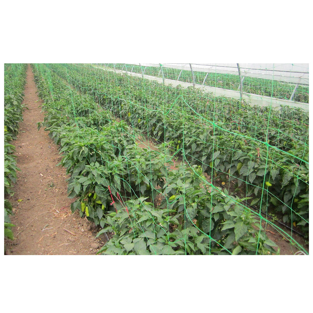 Plasa susținere plante 1,7x10m