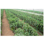Plasa susținere plante 1,7x10m