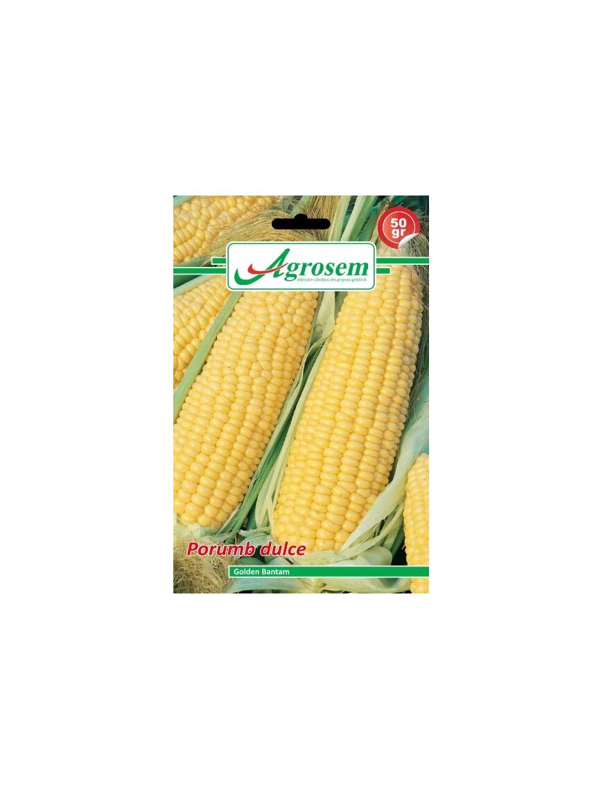 Seminte porumb dulce GOLDEN BANTAM 50 gr