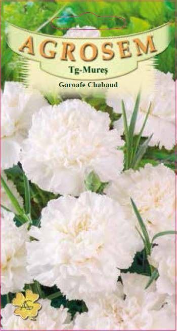 Garoafe Chabaud Albe0.1g