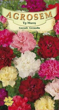 Seminte Garoafe Grenadin Mix 0.15g