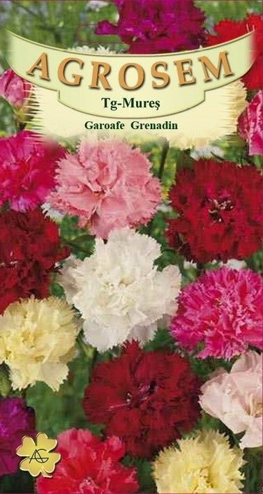 Seminte Garoafe Grenadin Mix 0.15g