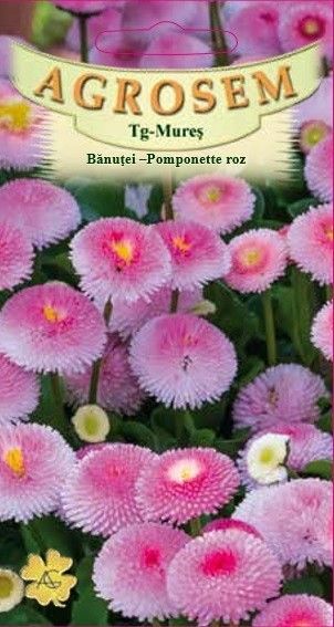 Banutei Pomponette Roz 0,05g