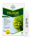 Fungicid TELDOR 500 SC - 10 ml, Bayer, Sistemic, Putregai cenusiu, Monilioza