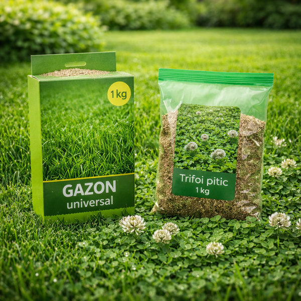 Gazon