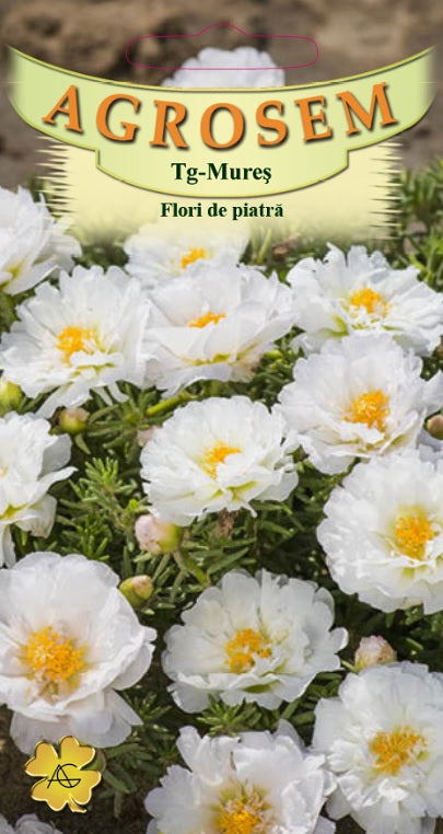 Flori de piatră duble Albe 0,1g