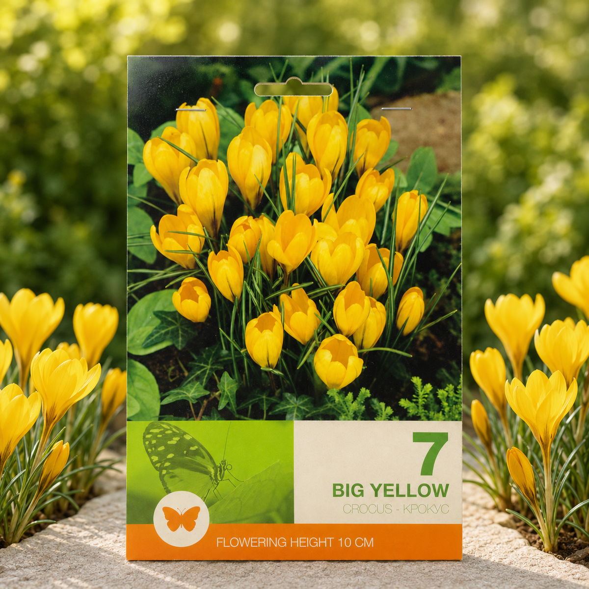 Branduse Big Yellow