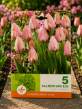 Lalele Salmon van Eijk