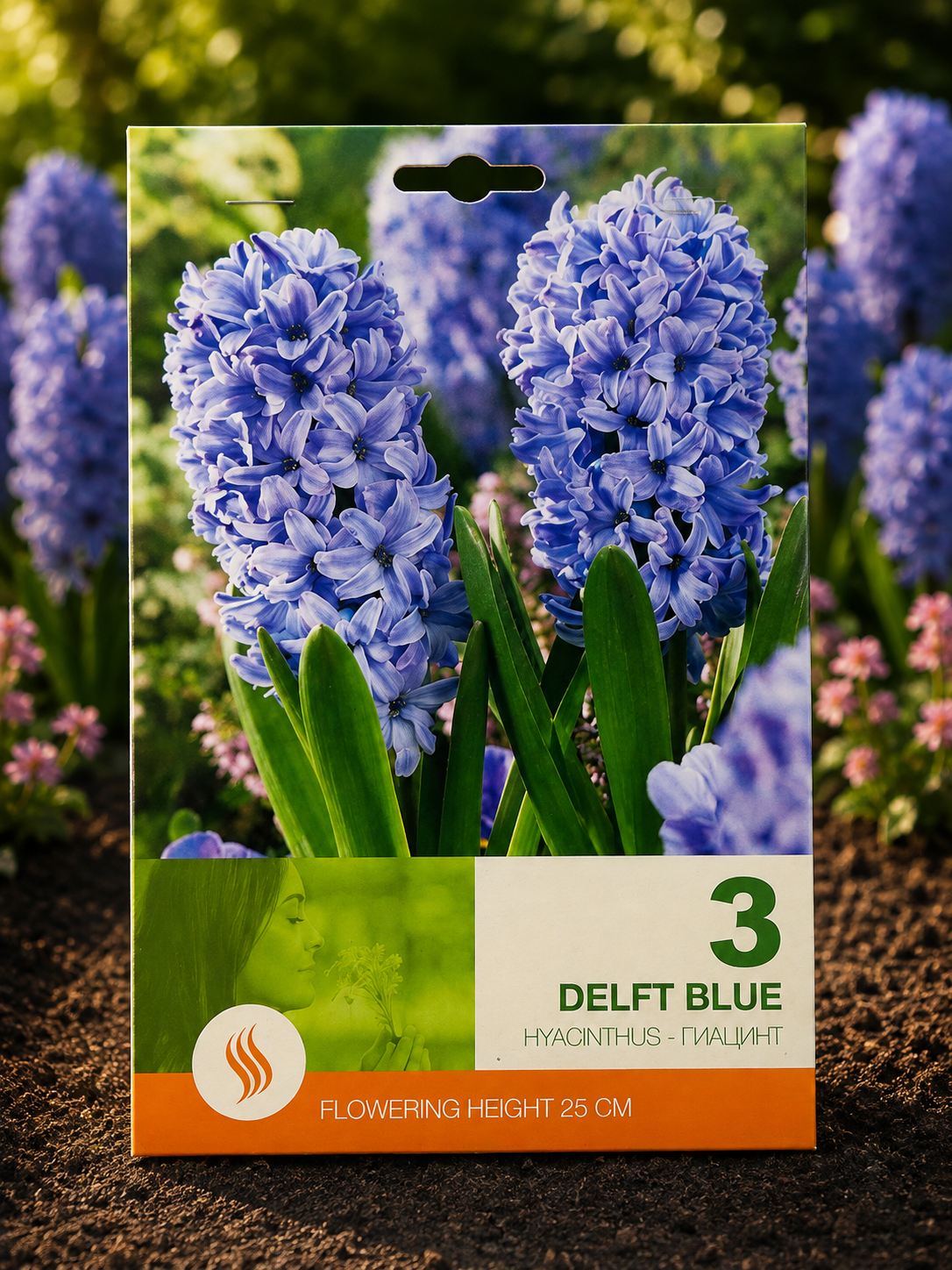Zambile Delft Blue