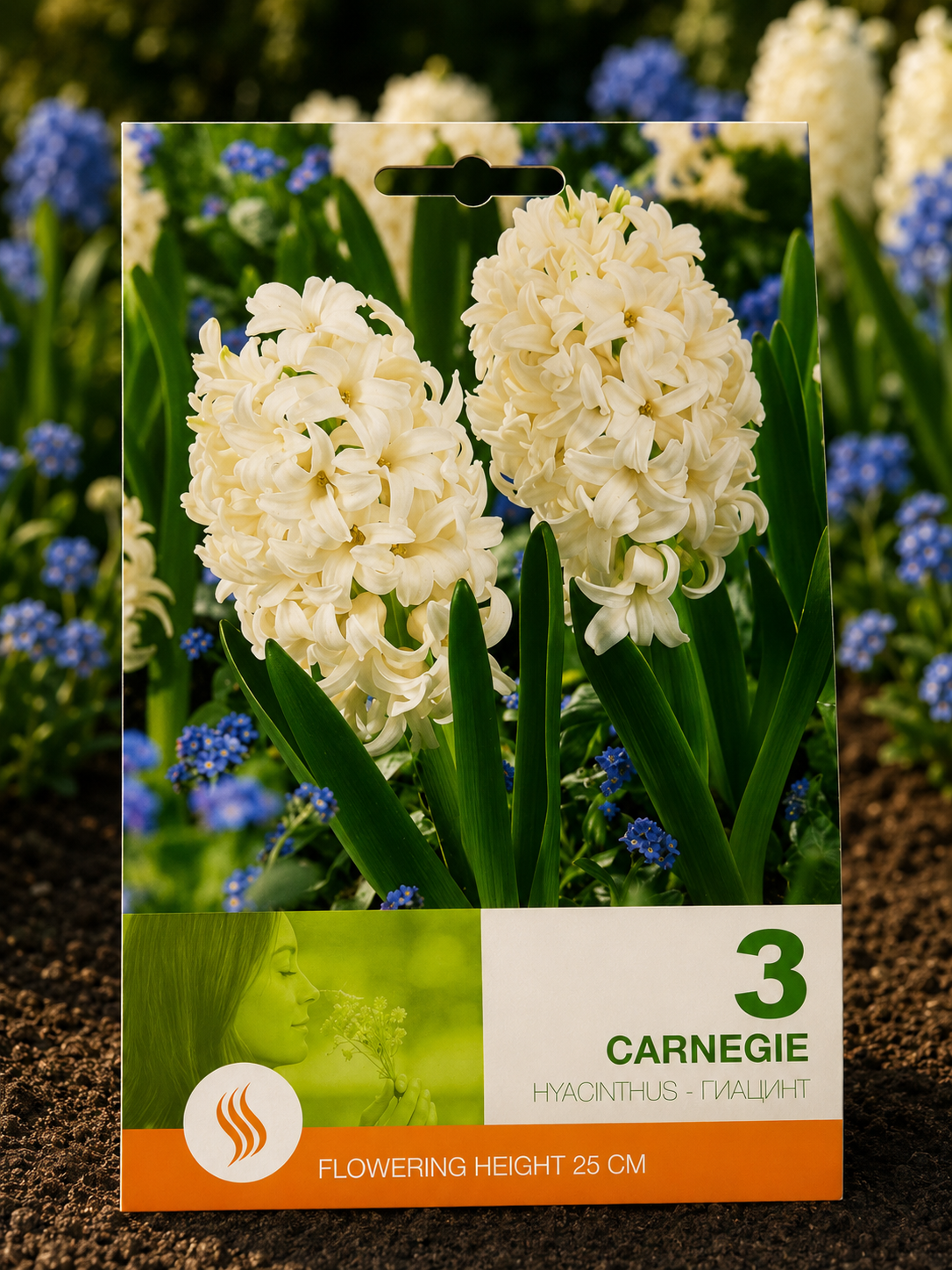 Zambile Carnegie