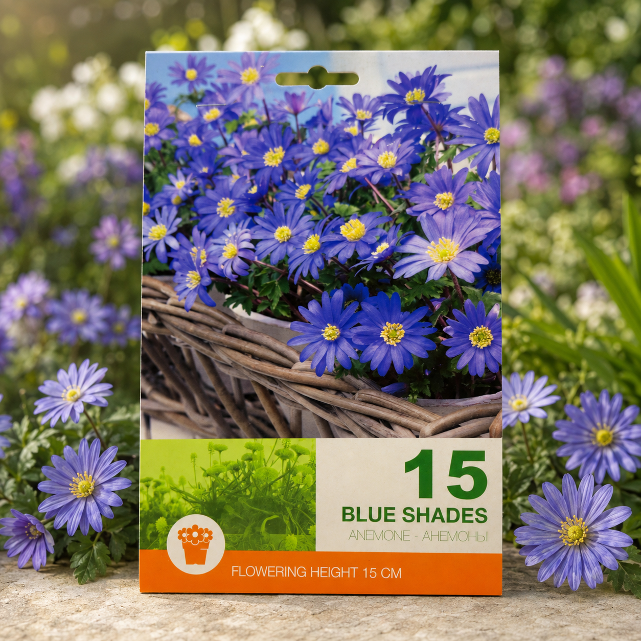 Anemone Blue Shades