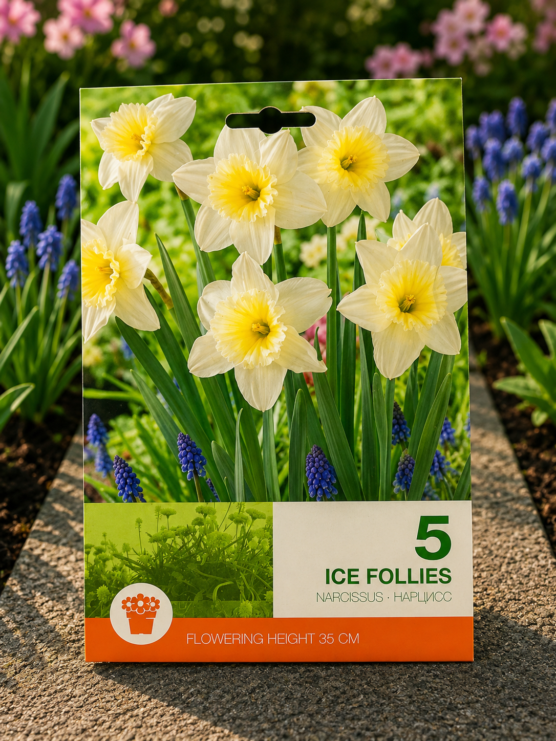 Narcise Ice Follies