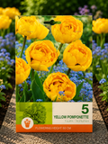 Lalele Yellow Pomponette