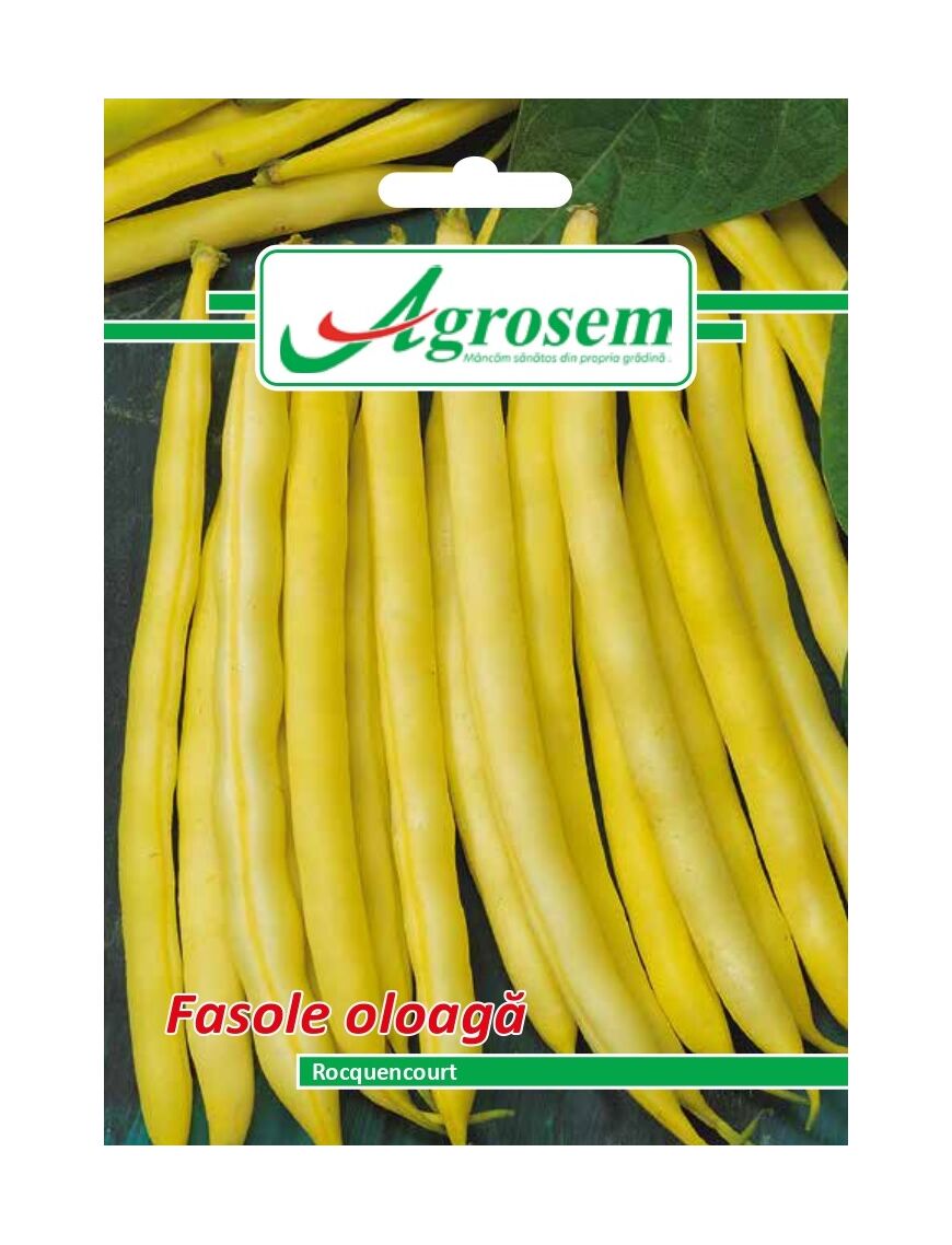 FASOLE OLOAGA ROCQUENCOURT 100GR