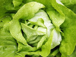 SALATA ILEANA 1GR