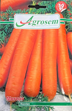 Morcov Nantes Agrosem 50 g