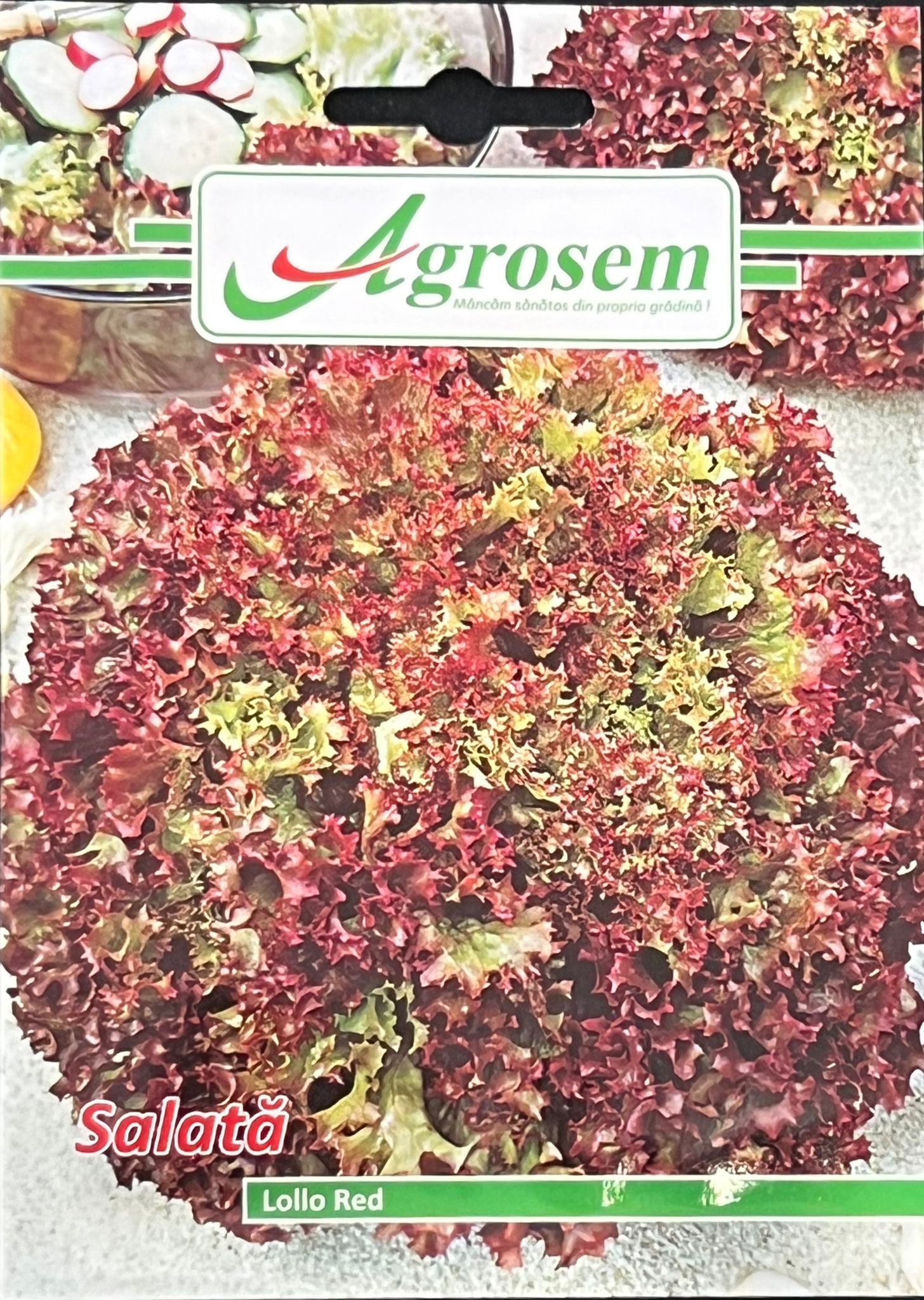 Seminte Salata LOLLO RED