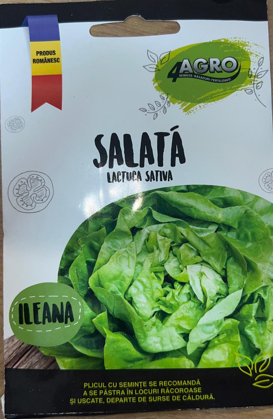 SALATA ILEANA 1GR