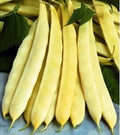 Auria Bacaului (20 gr) seminte de fasole urcatoare galbena cu pastaie lata