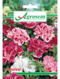 Seminte Flori AZALEA