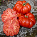 Costoluto Fiorentino rosii crete soi productiv, Agrosem