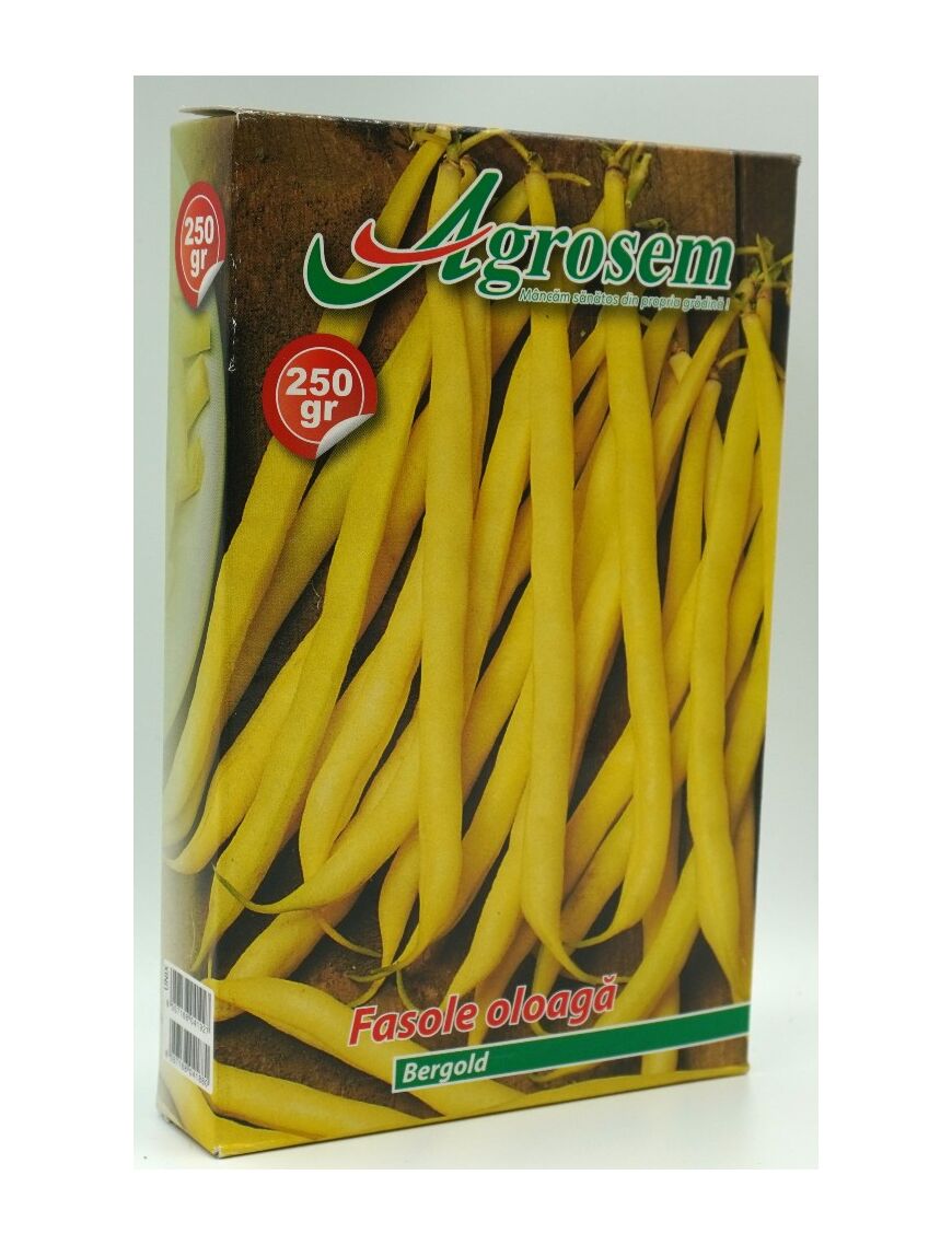 Seminte Fasole Oloaga BERGGOLD cutie 250GR