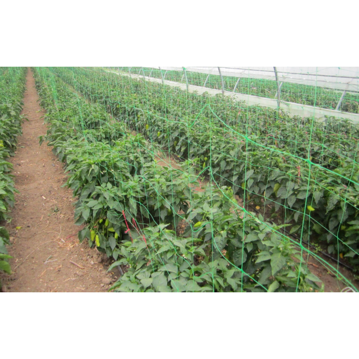 Plasa pentru sustinere plante 1.75m x 5m