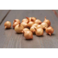 Arpagic stuttgarter riesen - 1kg, galben, rotund