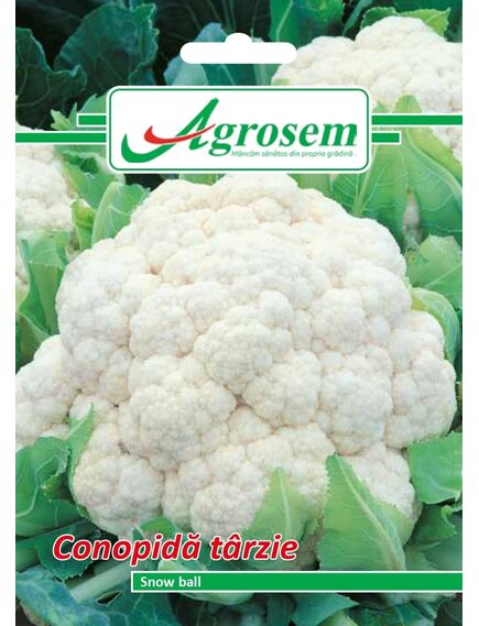 Seminte Conopida SNOW BALL 1 GR