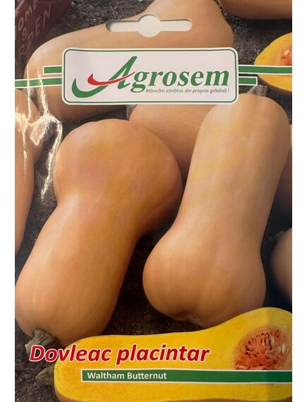 Seminte Dovleac Placintar WALTHAM BUTTERNUT, AGROSEM