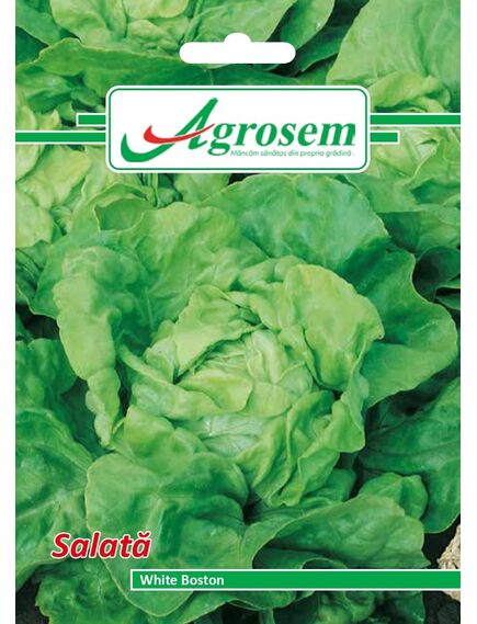Seminte Salata WHITE BOSTON 3g