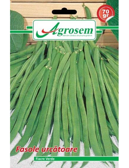 Seminte fasole urcatoare FIACRE VERDE Agrosem 70g