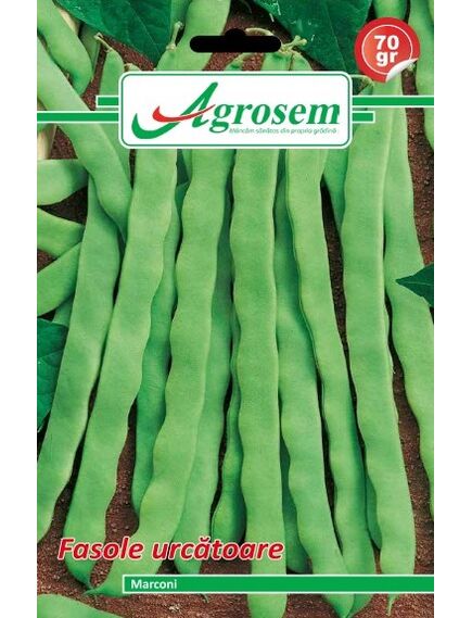 Seminte fasole urcatoare MARCONI Agrosem 70g