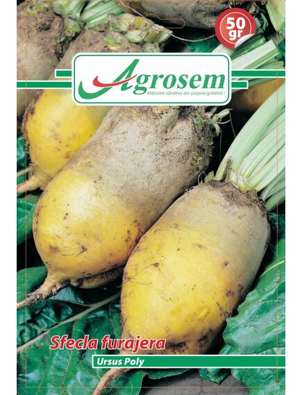 Sfecla furajera Ursus Poly - 50g