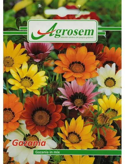 Seminte Flori GAZANIA MIX 0,1g