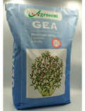 Seminte Lucerna GEA, 10 KG, Certificata