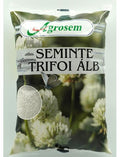 Seminte TRIFOI ALB 1KG(TRIFOI PITIC)