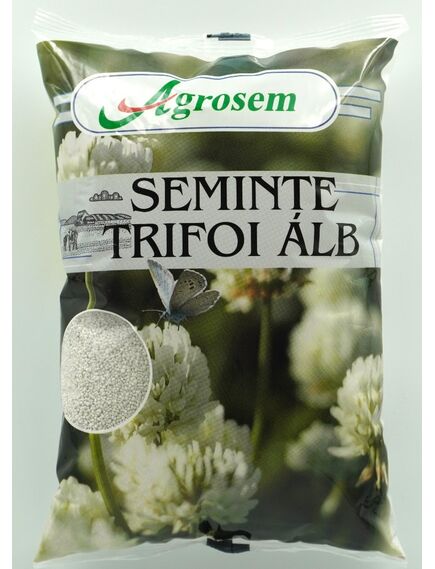 Seminte TRIFOI ALB 1KG(TRIFOI PITIC)