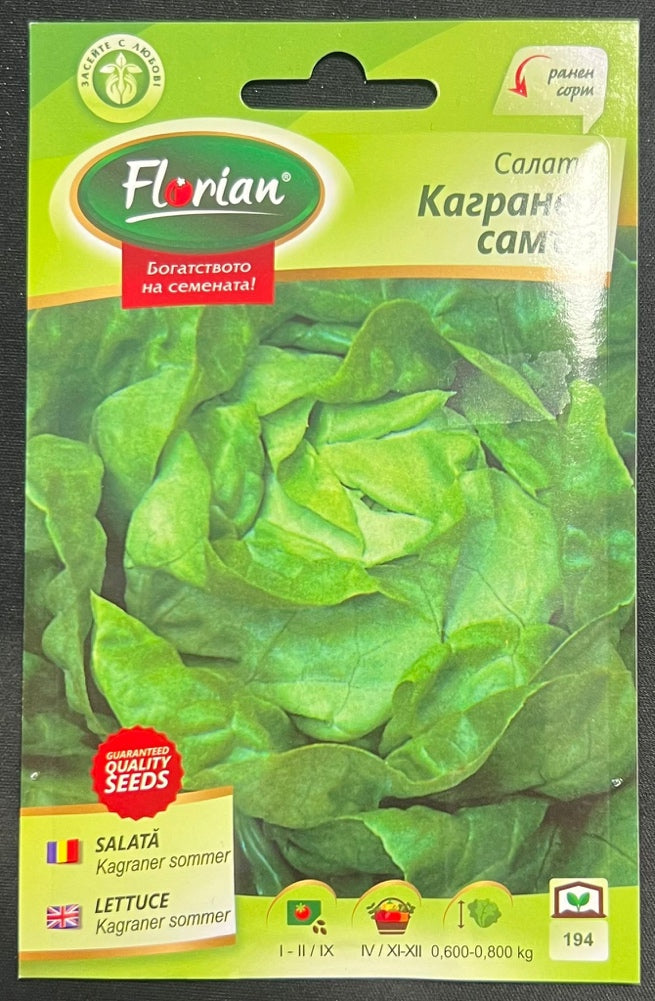 SEMINTE SALATA KAGRANER SOMMER 2g