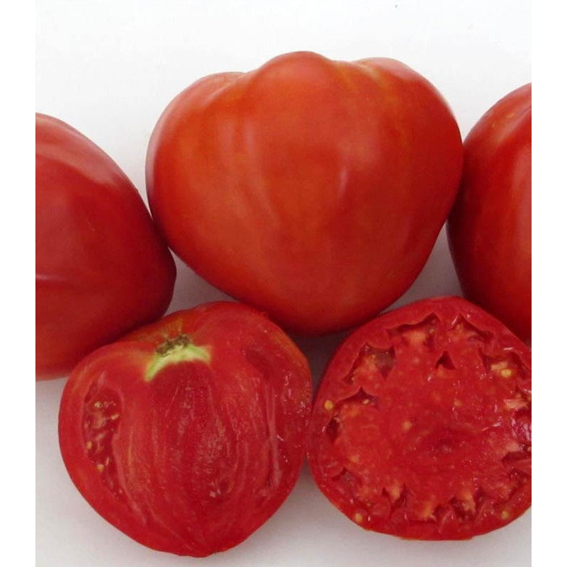 Seminte Tomate „Inimă de bou” 0.4g