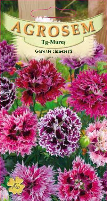 Garoafe chinezeşti 0,2g