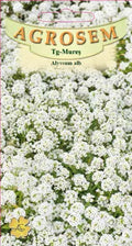 Alyssum alb 0,15g