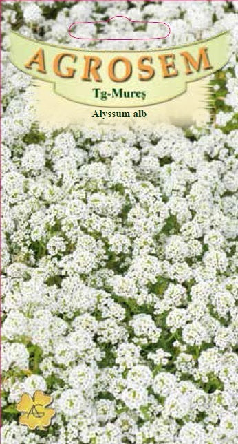 Alyssum alb 0,15g