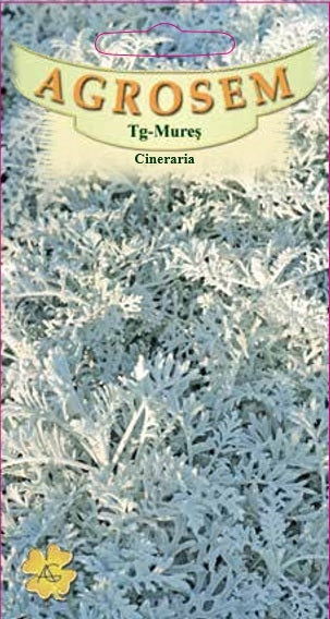 Cineraria 0,05g