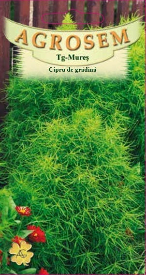 Cipru de grădină 0,3g