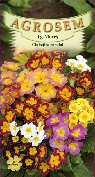 Ciuboțica cucului 0,5g